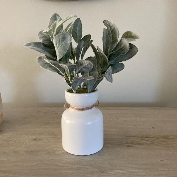 ❌SOLD Farmhouse Faux Lamb's Ear Ceramic Planter - Picture 5 of 7
